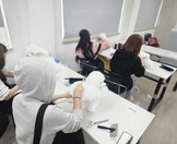 <8주차>반려견기초미용