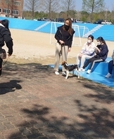 반려동물교정학 수업