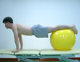 공을 이용한 배근육 강화 운동