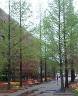 사용자 등록 이미지