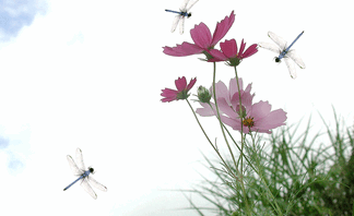 사용자 등록 이미지